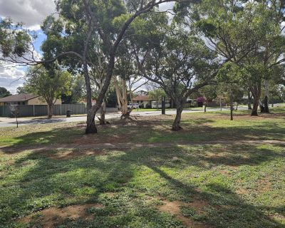 Winulta Park strip trees 052026