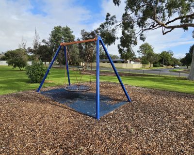 Clifton basket swing 062026
