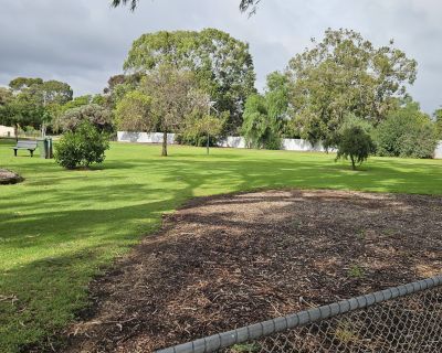 Clifton grased area 062026