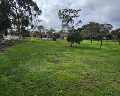 Clifton grassed area trees 062026
