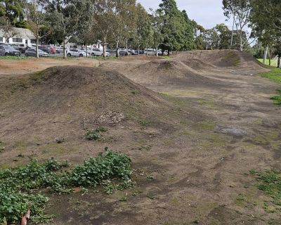 Dauntsey bike track 062026