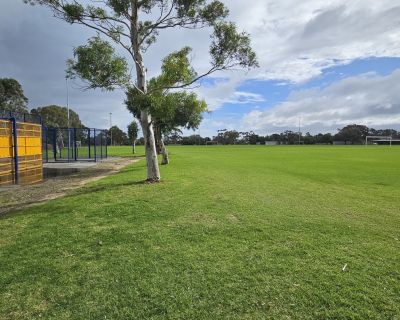 Dauntsey side of cage and oval 062026