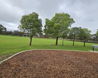 Barry warren grass and bench 062026