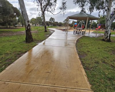 Barry warren path 062026