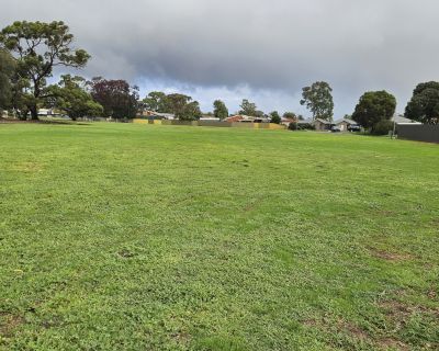 Currawong grass area 062026