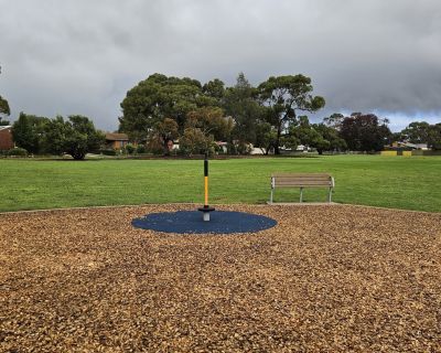 Currawong spinner 062026