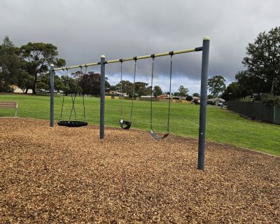 Currawong swings 062026