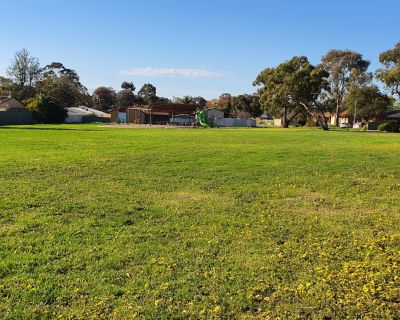 Currawong grass 082025