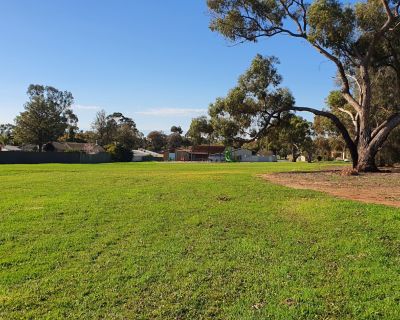 Currawong grass play area 082025