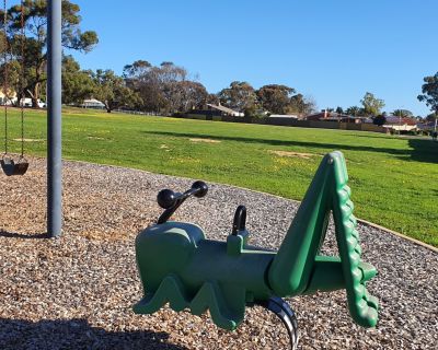 Currawong rocker and swings 082025