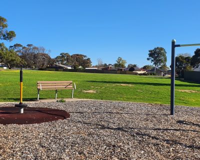 Currawong spinner and swing 082025