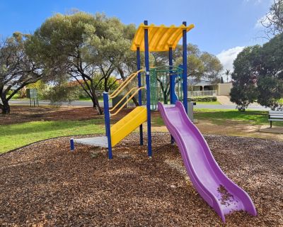 Manya slide 062026