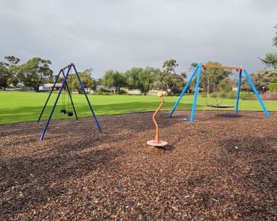 Manya spinner and swings 062026