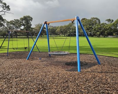 Manya swings 062026