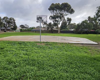 Tareena basketball court 062026
