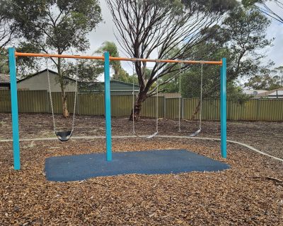 Tareena swings 062026