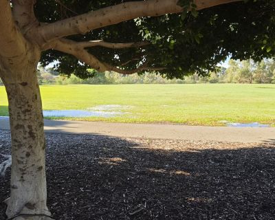 20260618 141804