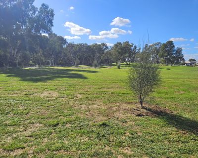 Riverview grassed area 052026