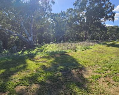 Riverview side bank 052026