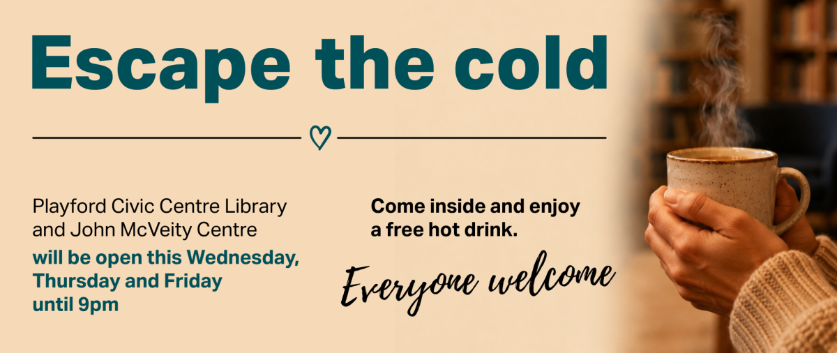 Escape the cold Web banner