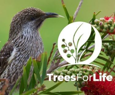 Attracting Native Wildlife to your Garden