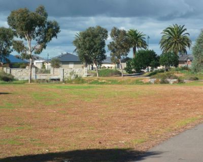 Bridget Court Reserve