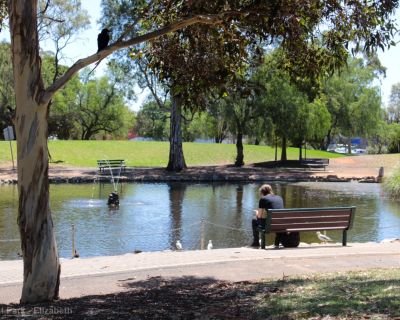 Spa Ao 181220 Fremontpark 3414