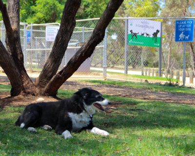 Spa Ao 181220 Jogapperactivitypark 3218