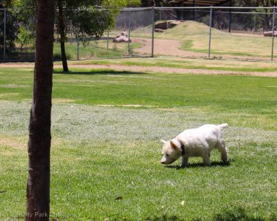 Spa Ao 181220 Jogapperactivitypark 3238