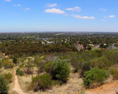 Spa Ao 181220 Jogapperactivitypark 3258