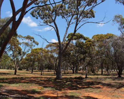 Spa Ao 181220 Jubileepark 3321