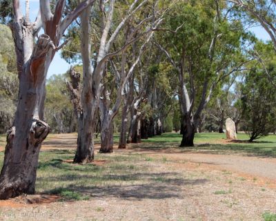 Spa Ao 181220 Jubileepark 3325