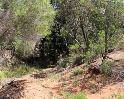 Spa Ao 181220 Kenpattersonreserve 3177