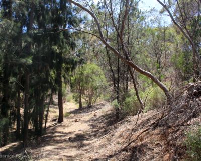 Spa Ao 181220 Kenpattersonreserve 3178