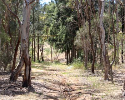 Spa Ao 181220 Kenpattersonreserve 3181