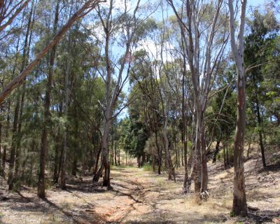 Spa Ao 181220 Kenpattersonreserve 3183