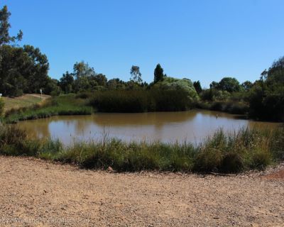 Spa Ao 181220 Olivegrovewetlands 3560