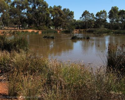 Spa Ao 181220 Olivegrovewetlands 3562