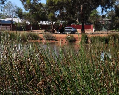 Spa Ao 181220 Olivegrovewetlands 3565