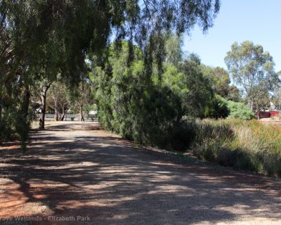 Spa Ao 181220 Olivegrovewetlands 3567