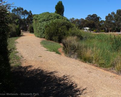 Spa Ao 181220 Olivegrovewetlands 3568