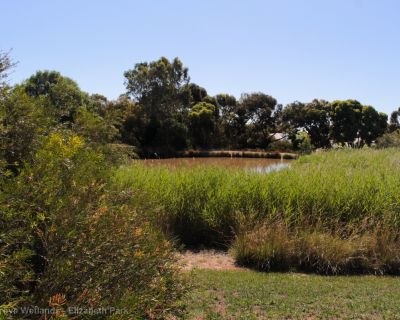 Spa Ao 181220 Olivegrovewetlands 3569