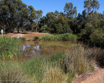 Spa Ao 181220 Olivegrovewetlands 3570