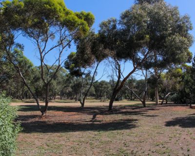 Spa Ao 181220 Olivegrovewetlands 3571