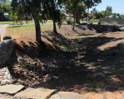 Spa Ao 181220 Peacheyroadreserve 3537