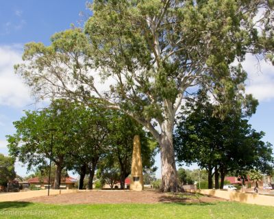 Spa Ao 181220 Playfordgardens 3124