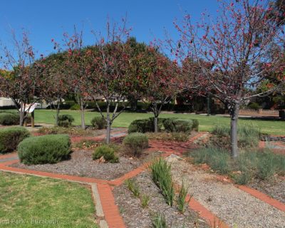 Spa Ao 181220 Rosewoodpark 3552