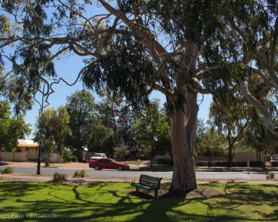 Spa Ao 181220 Rosewoodpark 3558