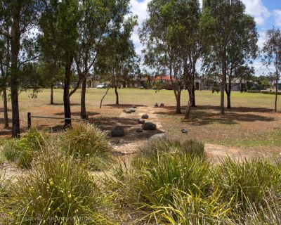 Spa Ao 181221 Puddlelanereserve 3659