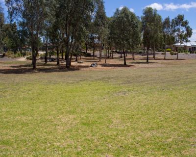 Spa Ao 181221 Puddlelanereserve 3662